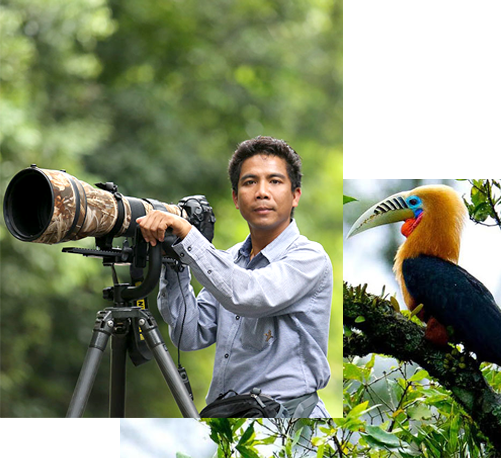 Bird Watching in Thailand