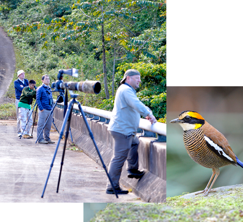 Reservation & Payment - Bird Watching in Thailand